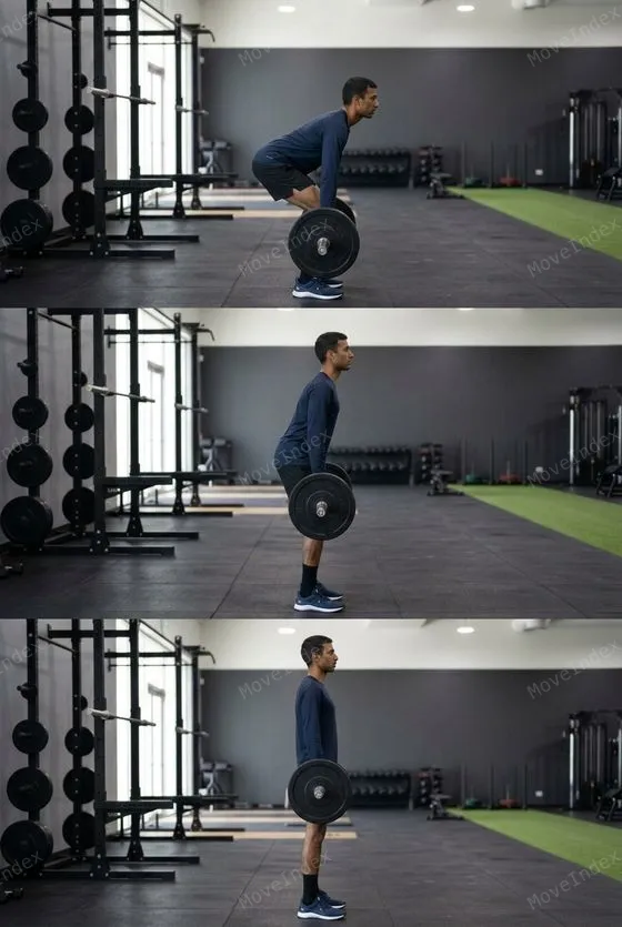 Deadlift demonstrated in 3 sequential frames