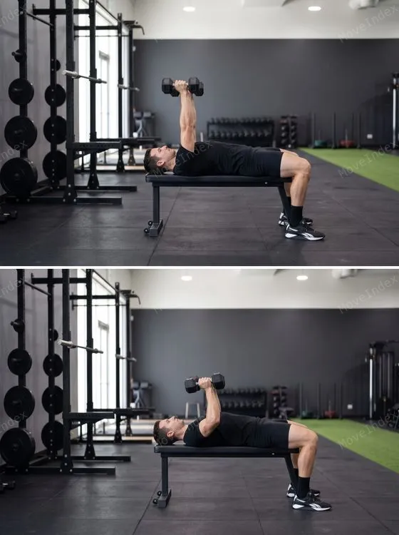Dumbbell Bench Press demonstrated in 2 sequential frames